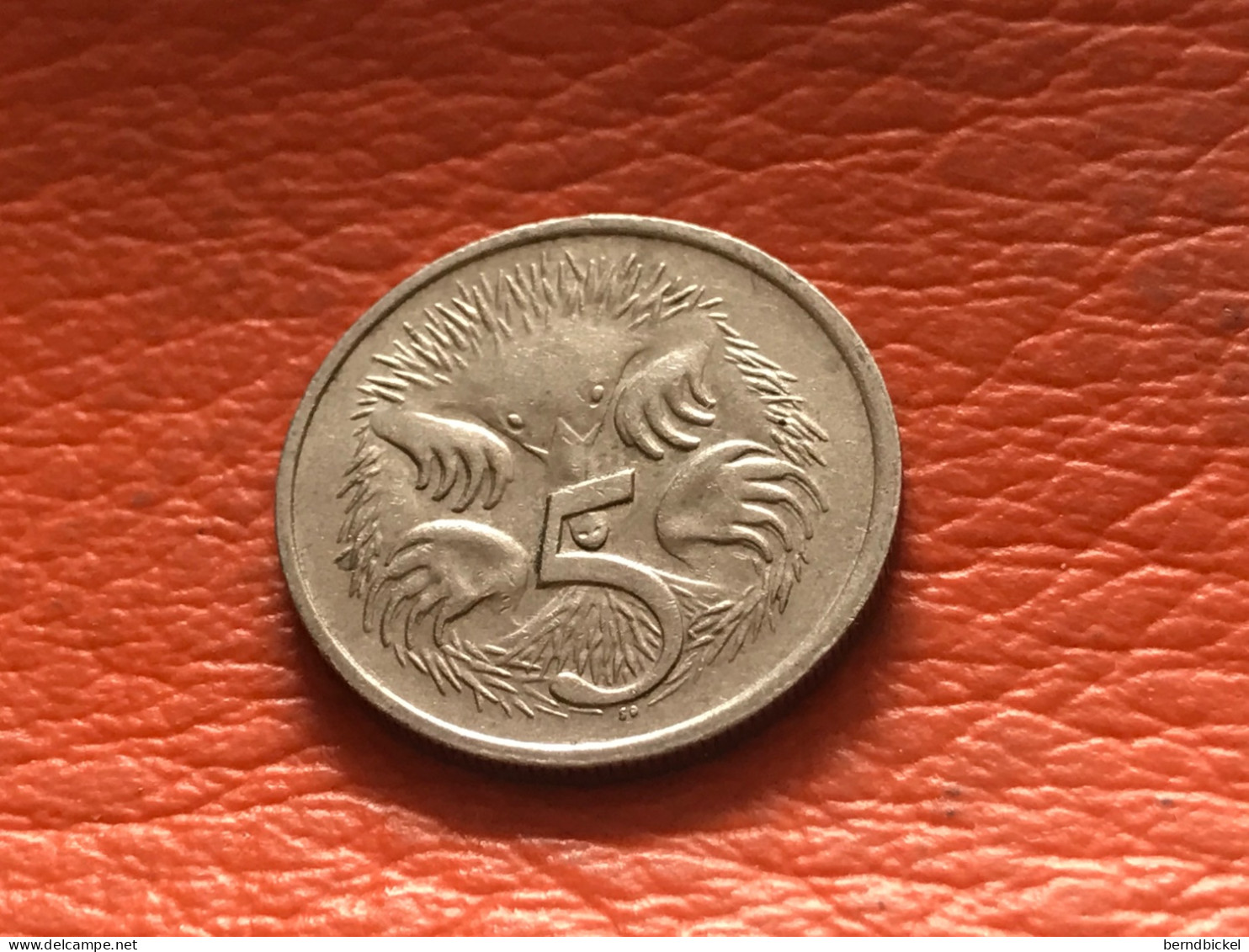 Münze Münzen Umlaufmünze Australien 5 Cent 1981 - 5 Cents