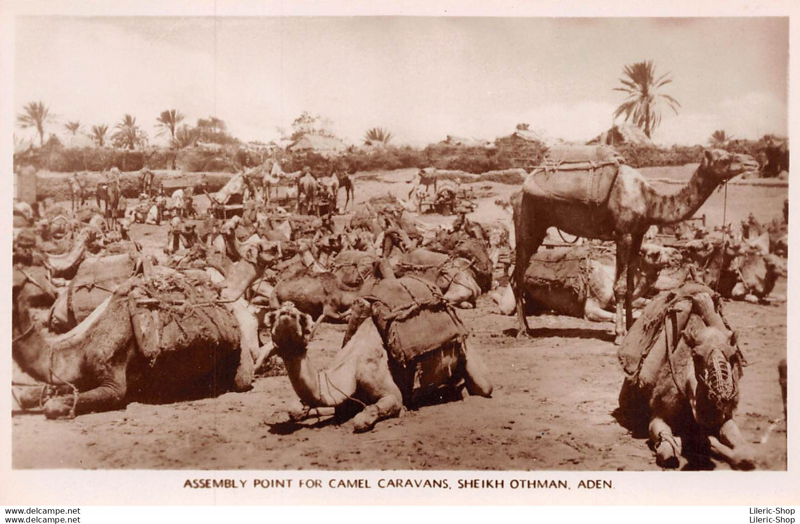 CPA Aden ± 1930 - Assembly Point For Camel Caravans- Sheikh Othman - Photographed By A. ABASSI - Yemen