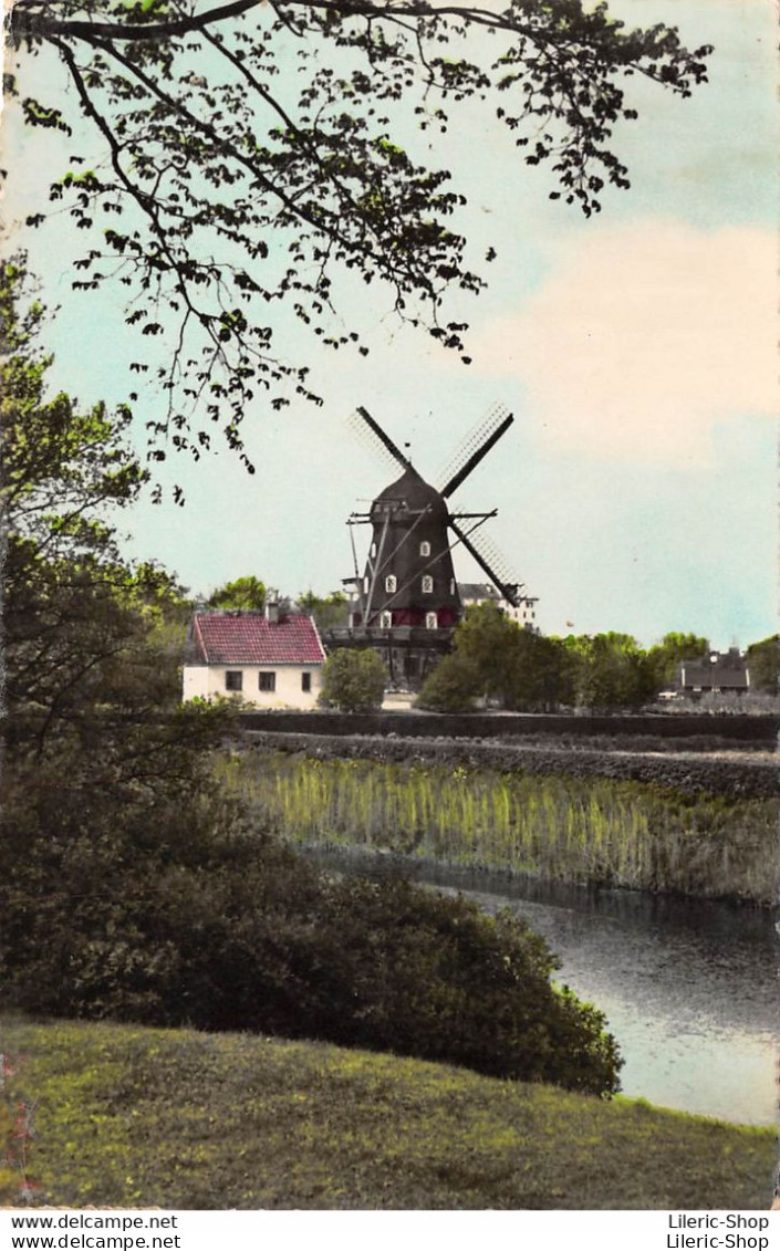 VINTAGE POSTCARD 1959 -  MALMÖ - Slottsmöllan - The Mill En Castle Park - Moulin - Suecia