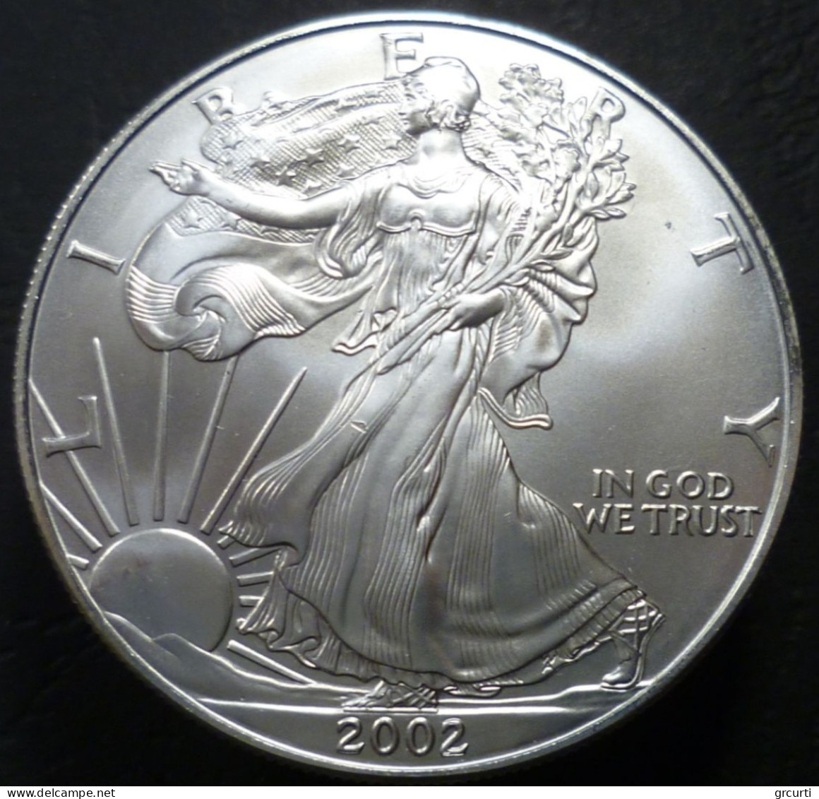 Stati Uniti D'America - 1 Dollaro 2002 - Aquila Americana - KM# 273 - Zonder Classificatie