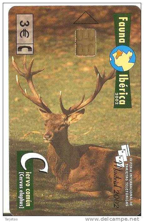 P-498 TARJETA DEL CIERVO COMUN DE FAUNA IBERICA DE TIRADA 6000 (DEER) - Privé-uitgaven