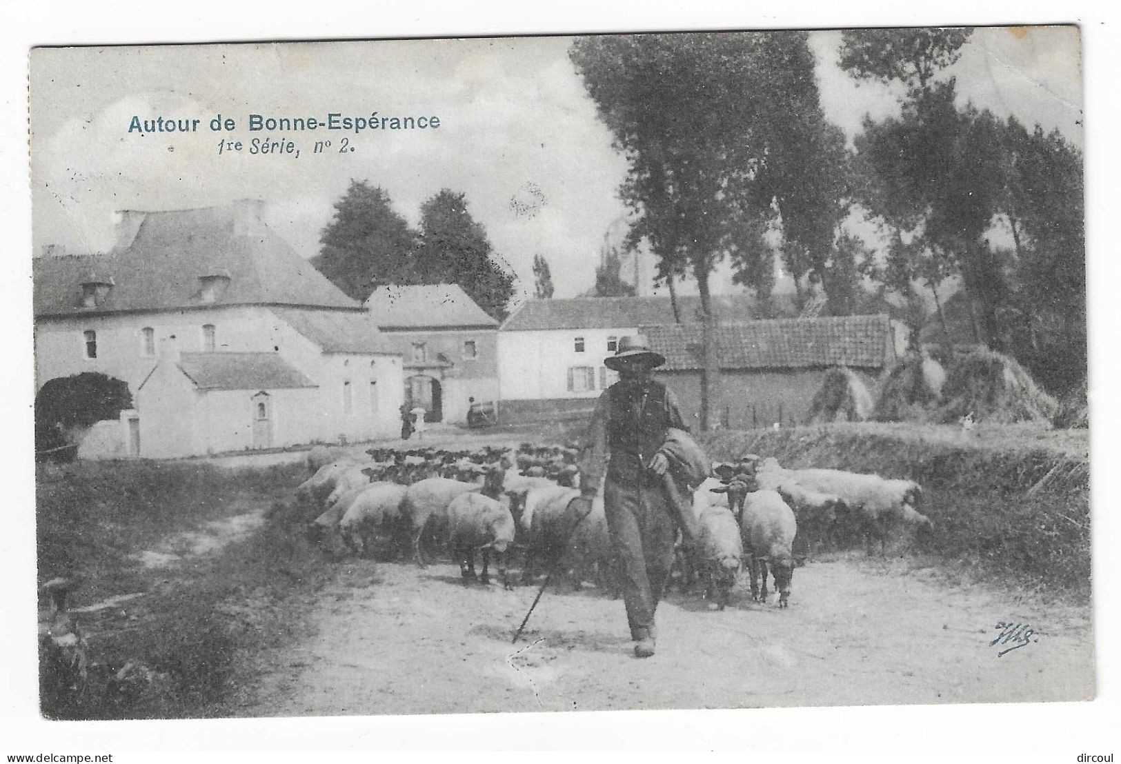 51602  Estinnes    Autour  De  Bonne  Esperance  Troupeau  Moutons - Estinnes