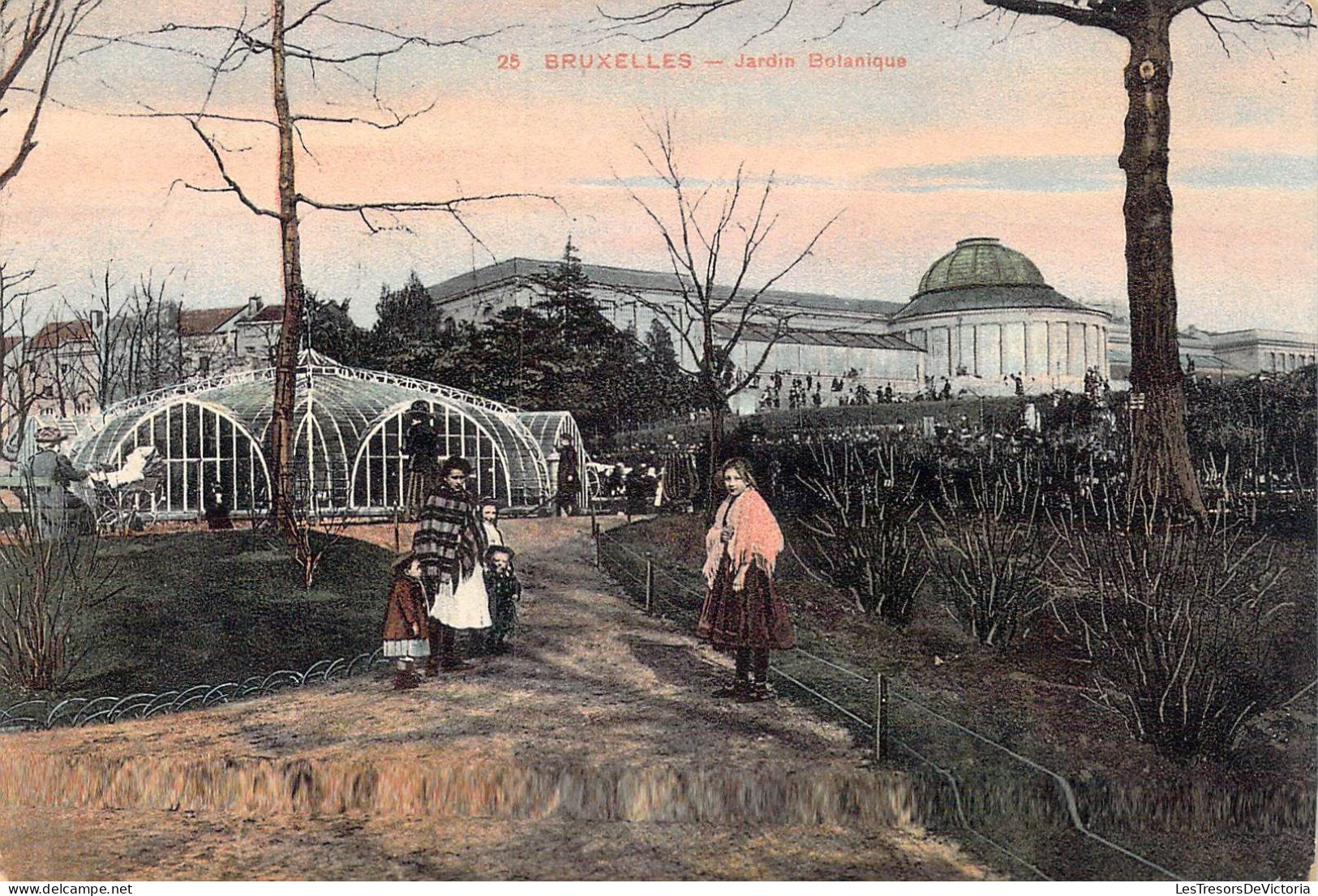 BELGIQUE - Bruxelles - Jardin Botanique - Carte Postale Ancienne - Bossen, Parken, Tuinen