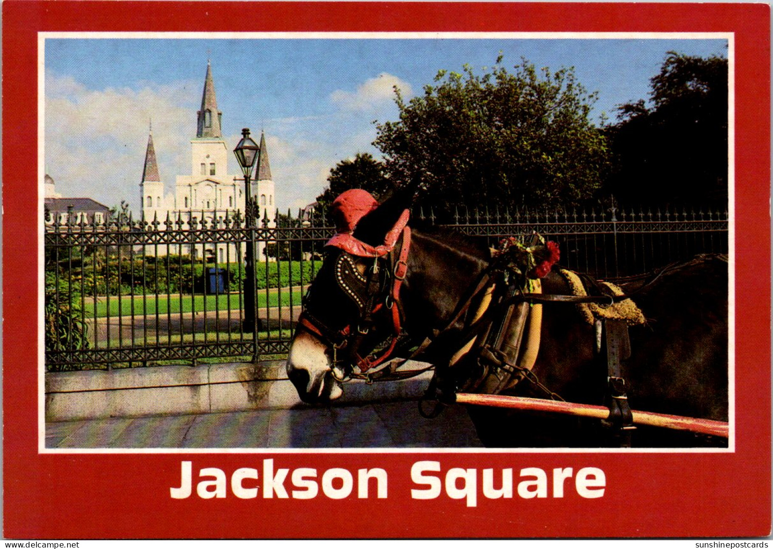 Louisiana New Orleans Horse And Carriage At Jackson Square - New Orleans