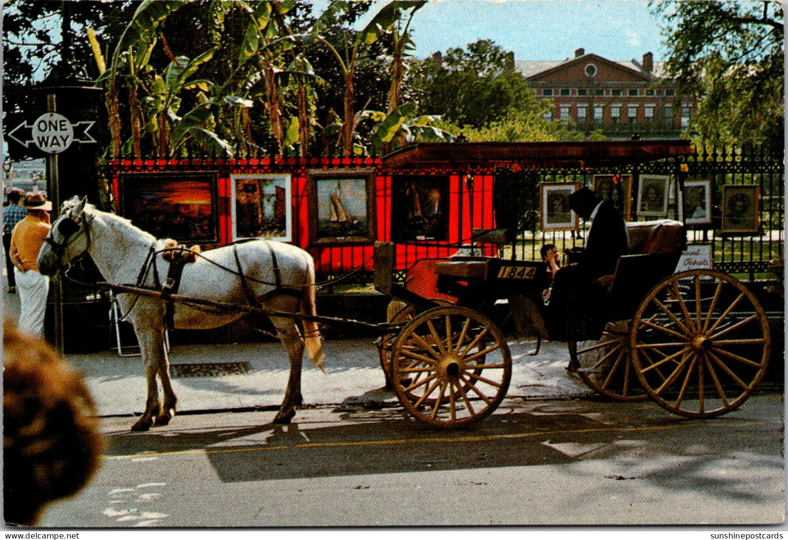 Louisiana New Orleans French Quarter Sighthseeing Carriage - New Orleans