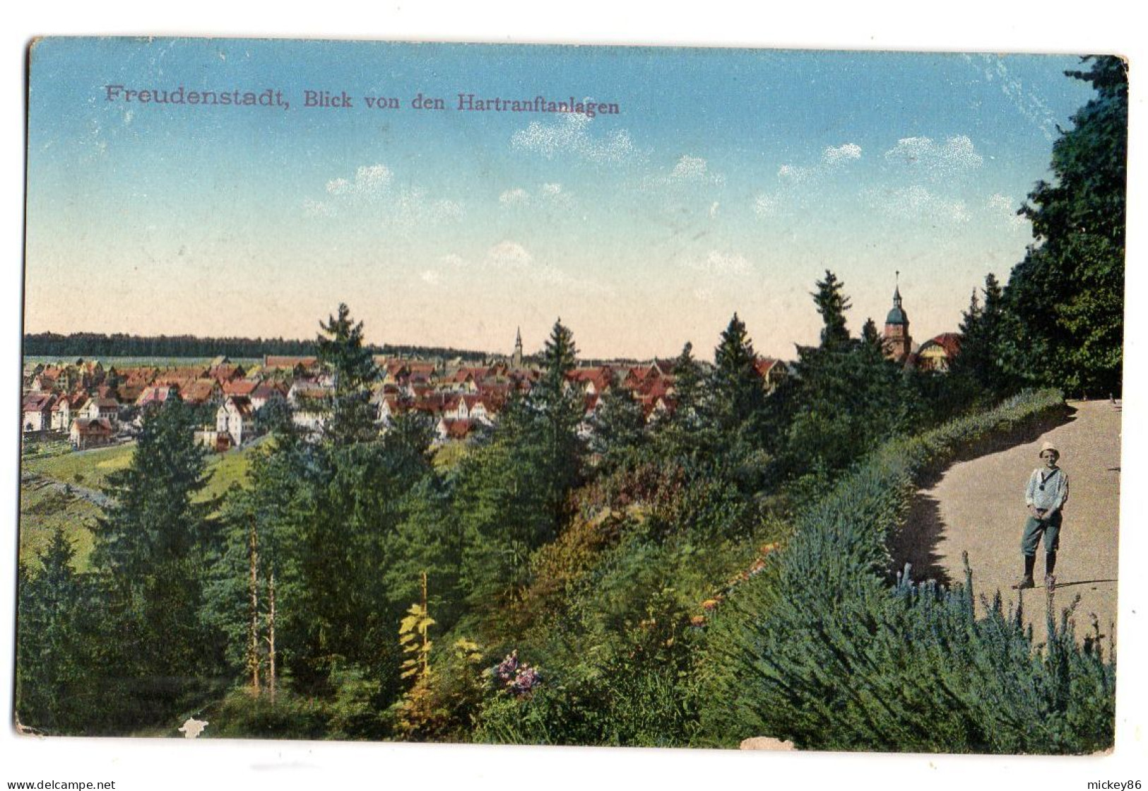 Allemagne--FREUDENSTADT--env 1910--Blick Von Den Hartranftanlagen (animée)..colorisée, Timbre, Cachet - Rudolstadt