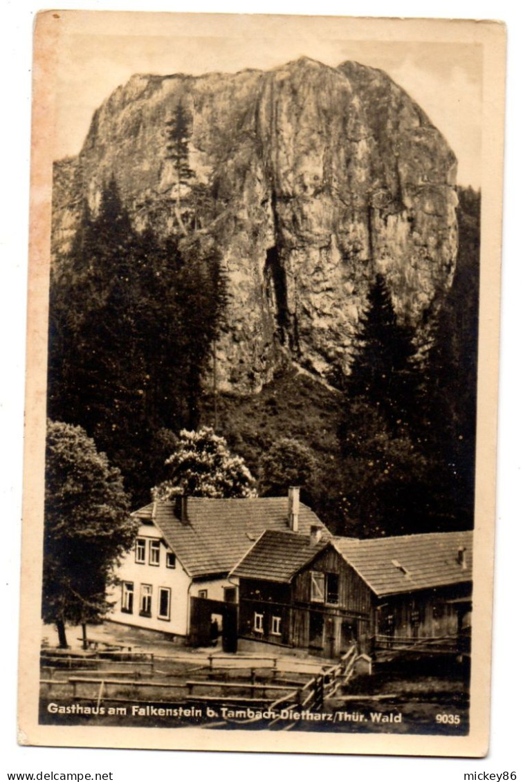 Allemagne-- TAMBACH-DIETHARZ -- Gasthaus Am Falkenstein "Otto Schmid-Gasthaus Am Falkenstein" - Tambach-Dietharz