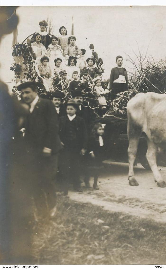 Carte Photo Fete Attelage Boeufs  Cortege Historique Reines - Manifestations