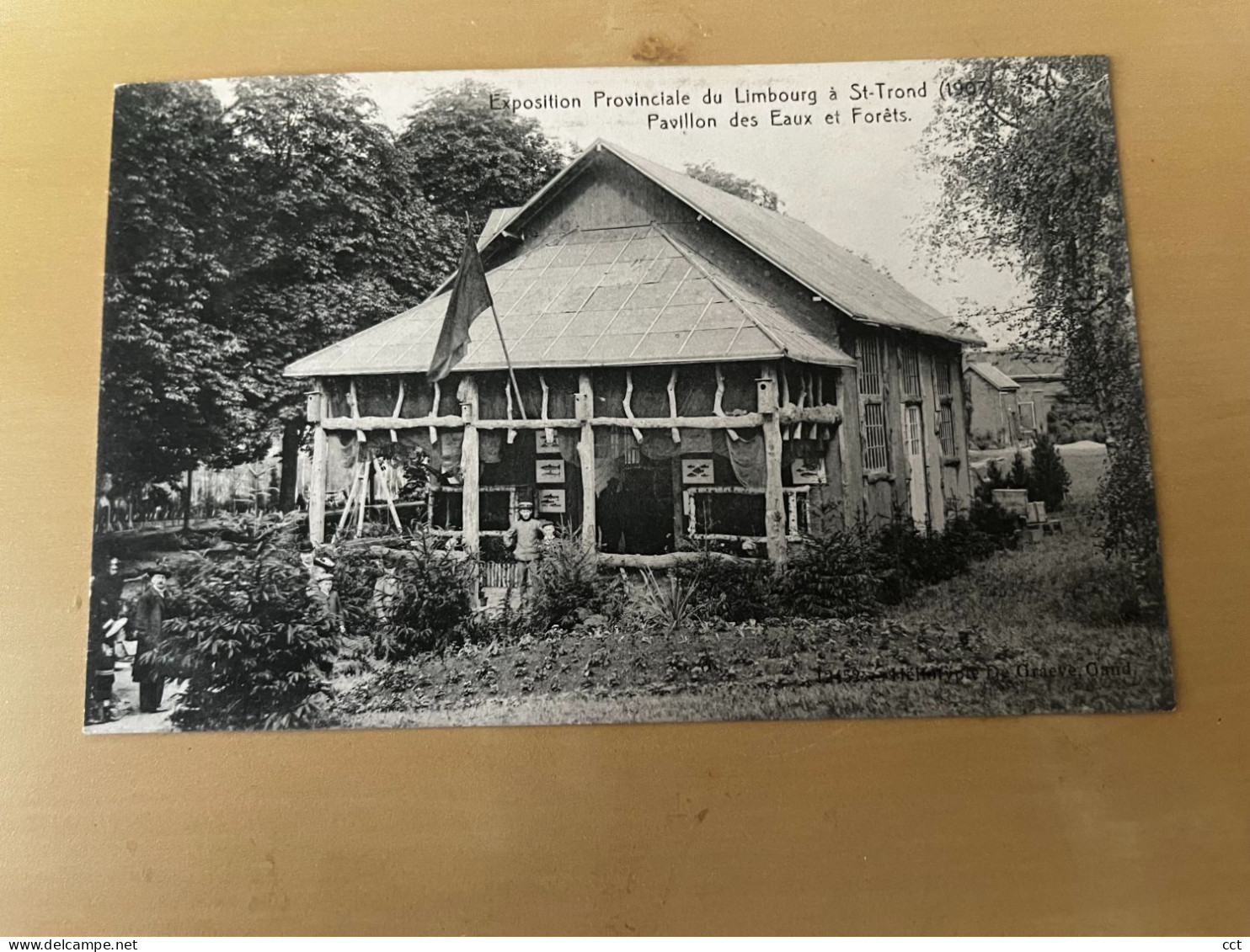 Saint-Trond Sint-Truiden Exposition Provinciale De Limbourg 1907  Pavillon Des Eaux Et Forêts - Sint-Truiden