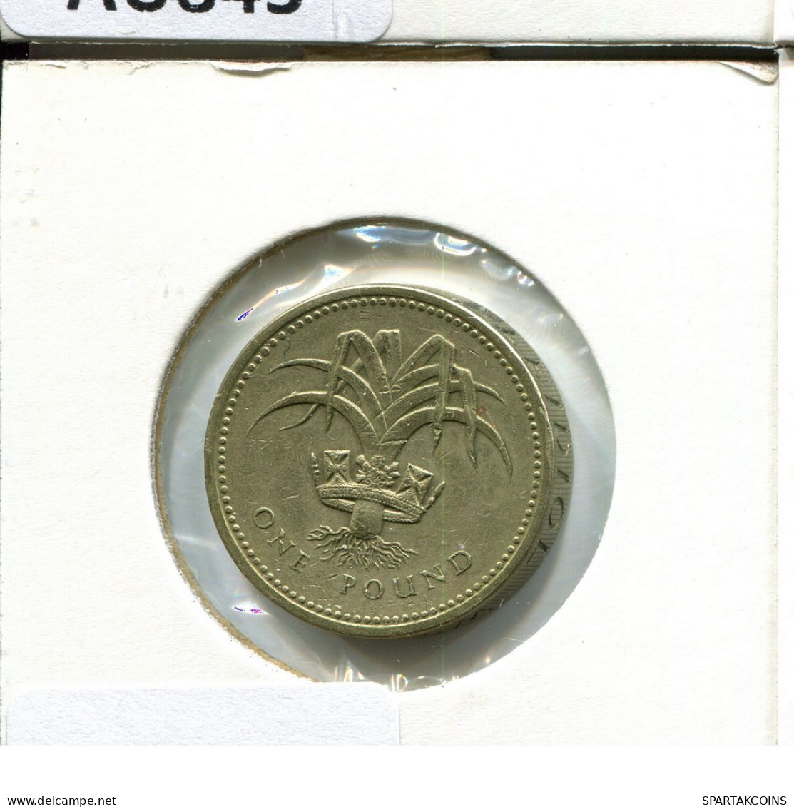 POUND 1985 UK GBAN BRETAÑA GREAT BRITAIN Moneda #AU846.E - 1 Pound