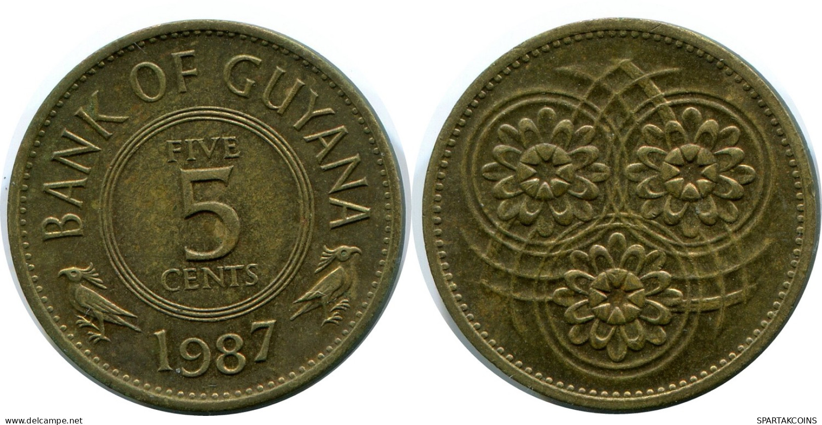 5 CENTS 1987 GUYANA Moneda #AR943.E - Guyana