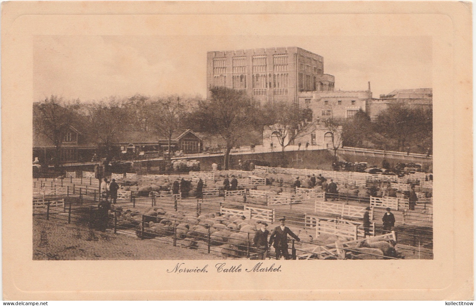 NORWICH CATTLE MARKET - Norwich