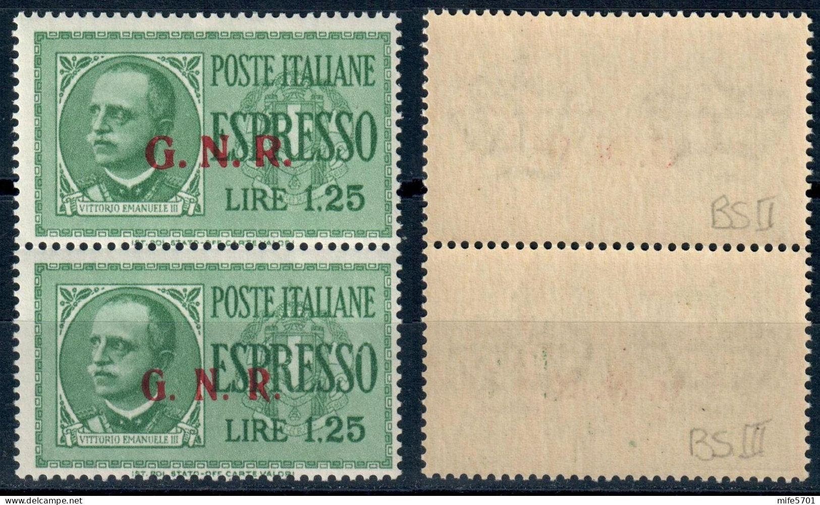 RSI COPPIA VERTICALE ESPRESSO L. 1,25 SOPRASTAMPA G.N.R. DEL II E III TIPO - NUOVI MNH ** - SASSONE E19II - E19III - Exprespost