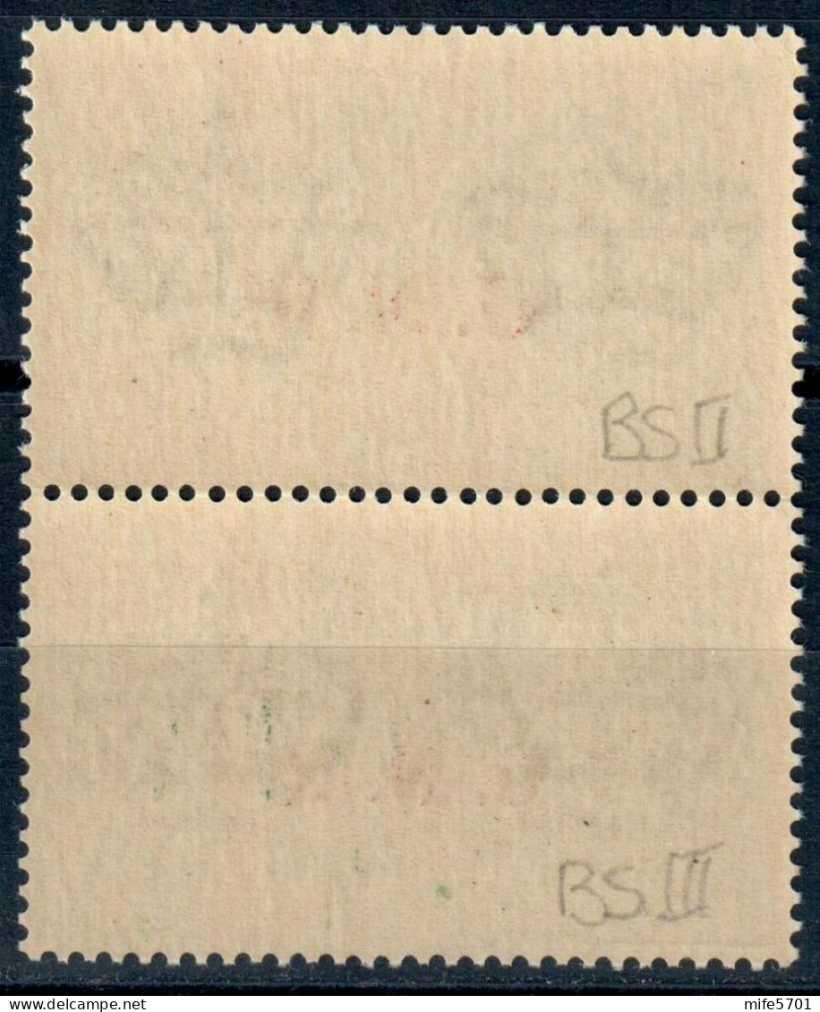 RSI COPPIA VERTICALE ESPRESSO L. 1,25 SOPRASTAMPA G.N.R. DEL II E III TIPO - NUOVI MNH ** - SASSONE E19II - E19III - Express Mail