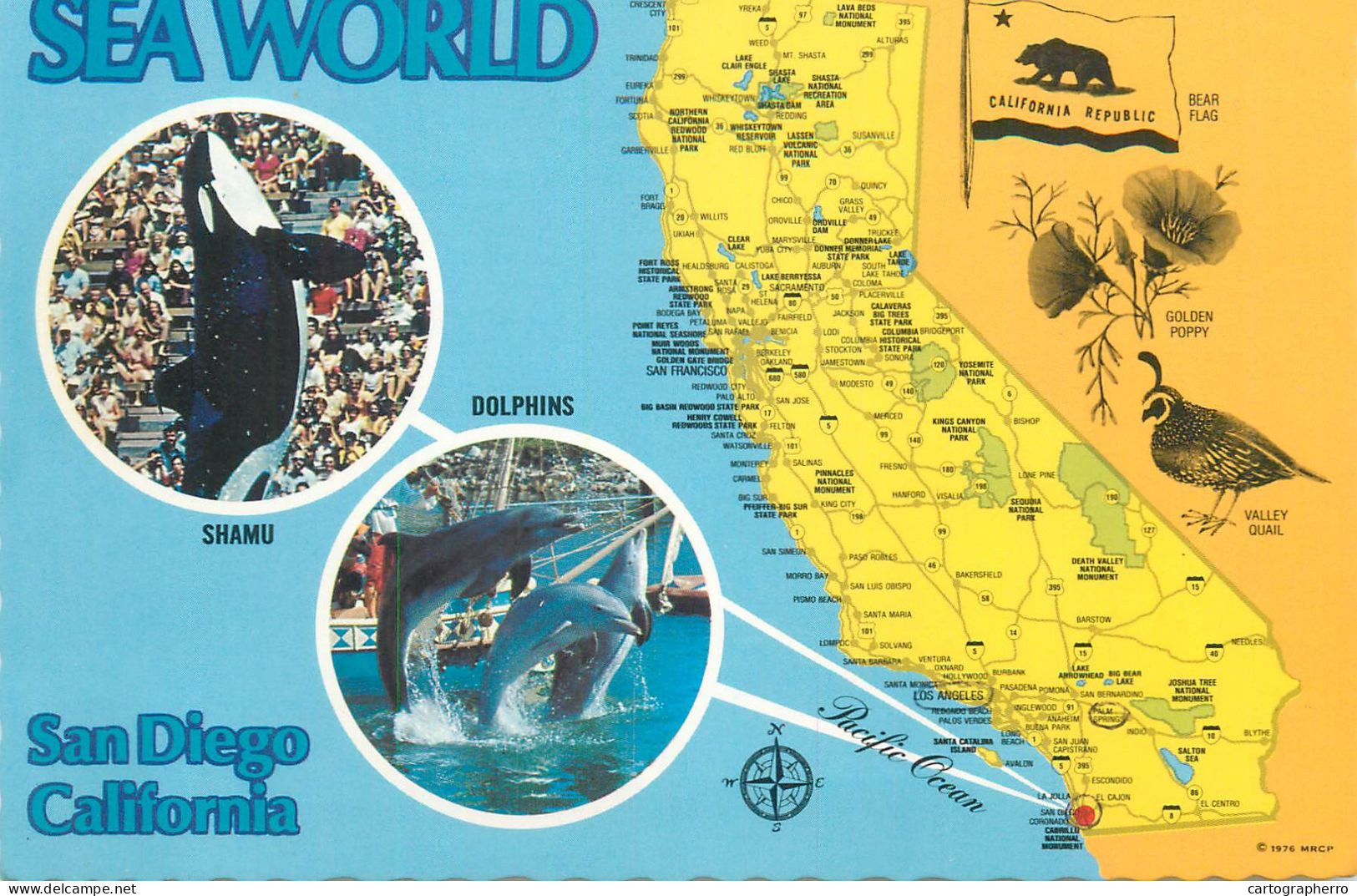 Postcard United States > CA - California San Diego Sea World - San Diego