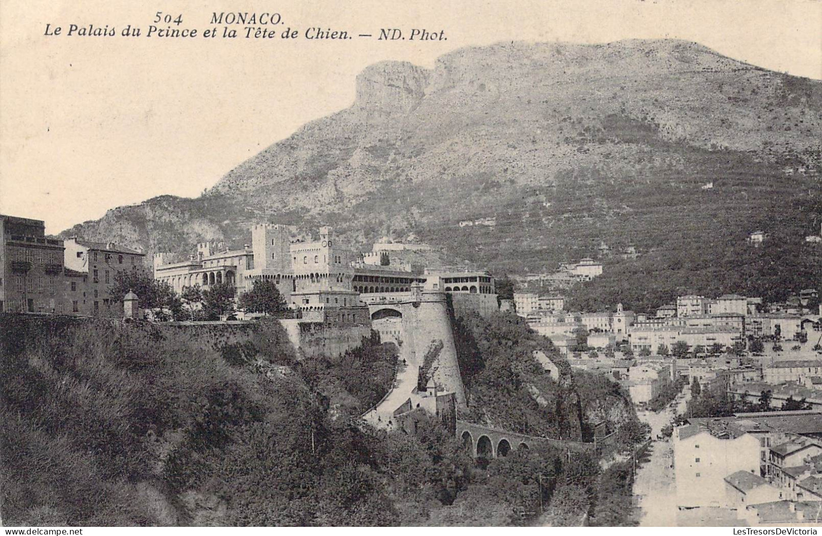 MONACO - Le Palais Du Prince Et La Tête De Chien - Carte Postale Ancienne - Palacio Del Príncipe