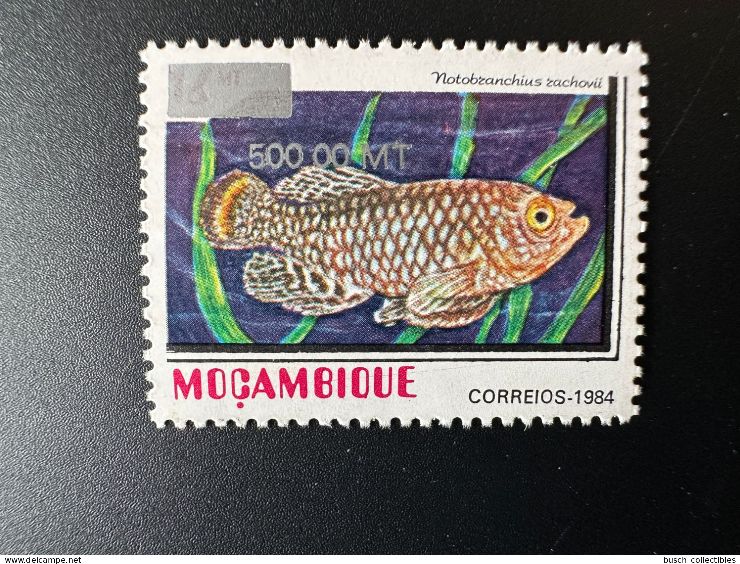 Moçambique Mozambique 1997 / 2000 Mi. 1552 Fisch Fish Poisson Notobranchius Rachovii Overprint Surchargé RARE - Mosambik