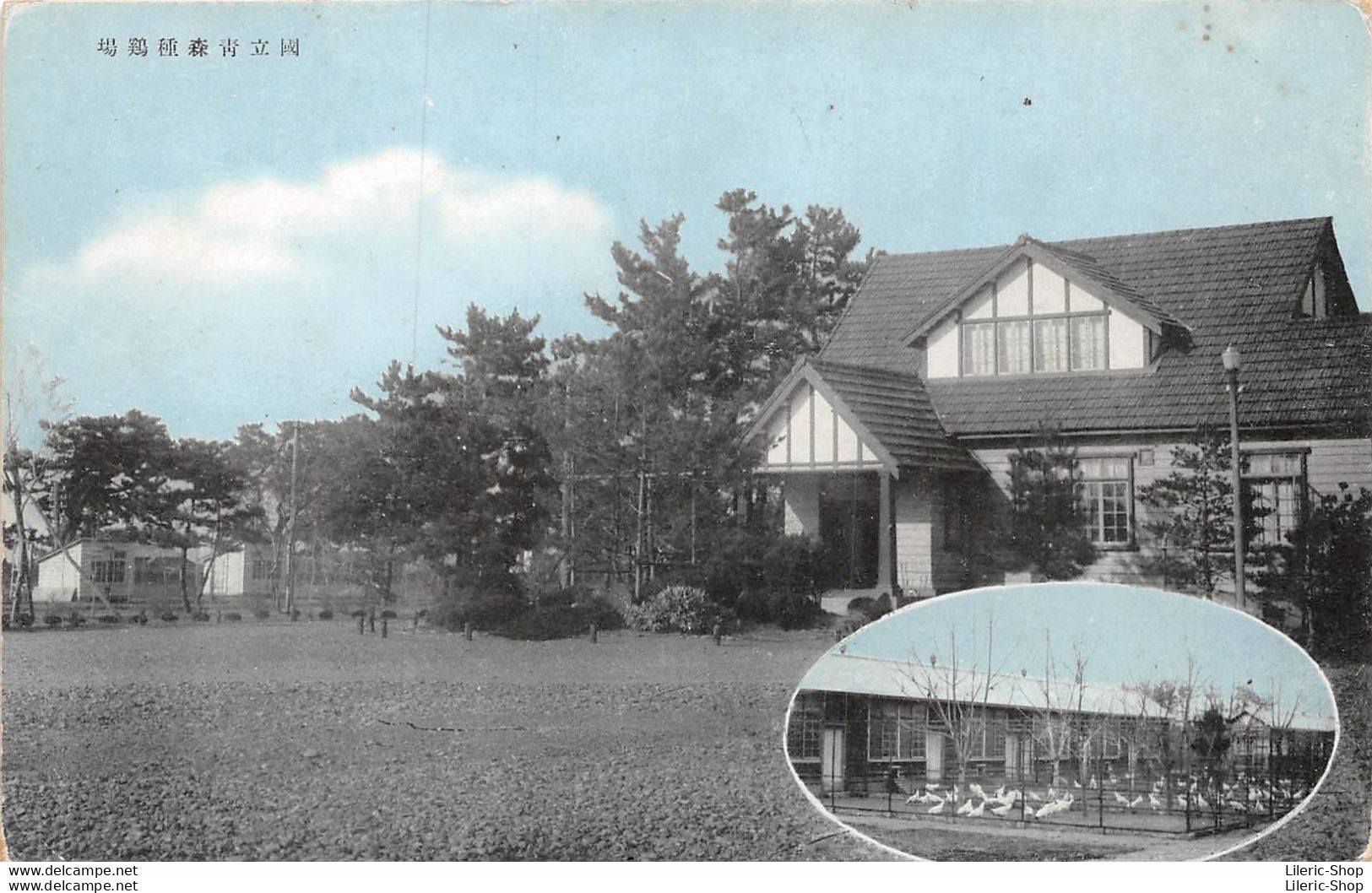 VINTAGE POSTCARD  ±1940 -  Pays Asiatique à Identifier - Ferme, élevage De Poules - A Identificar