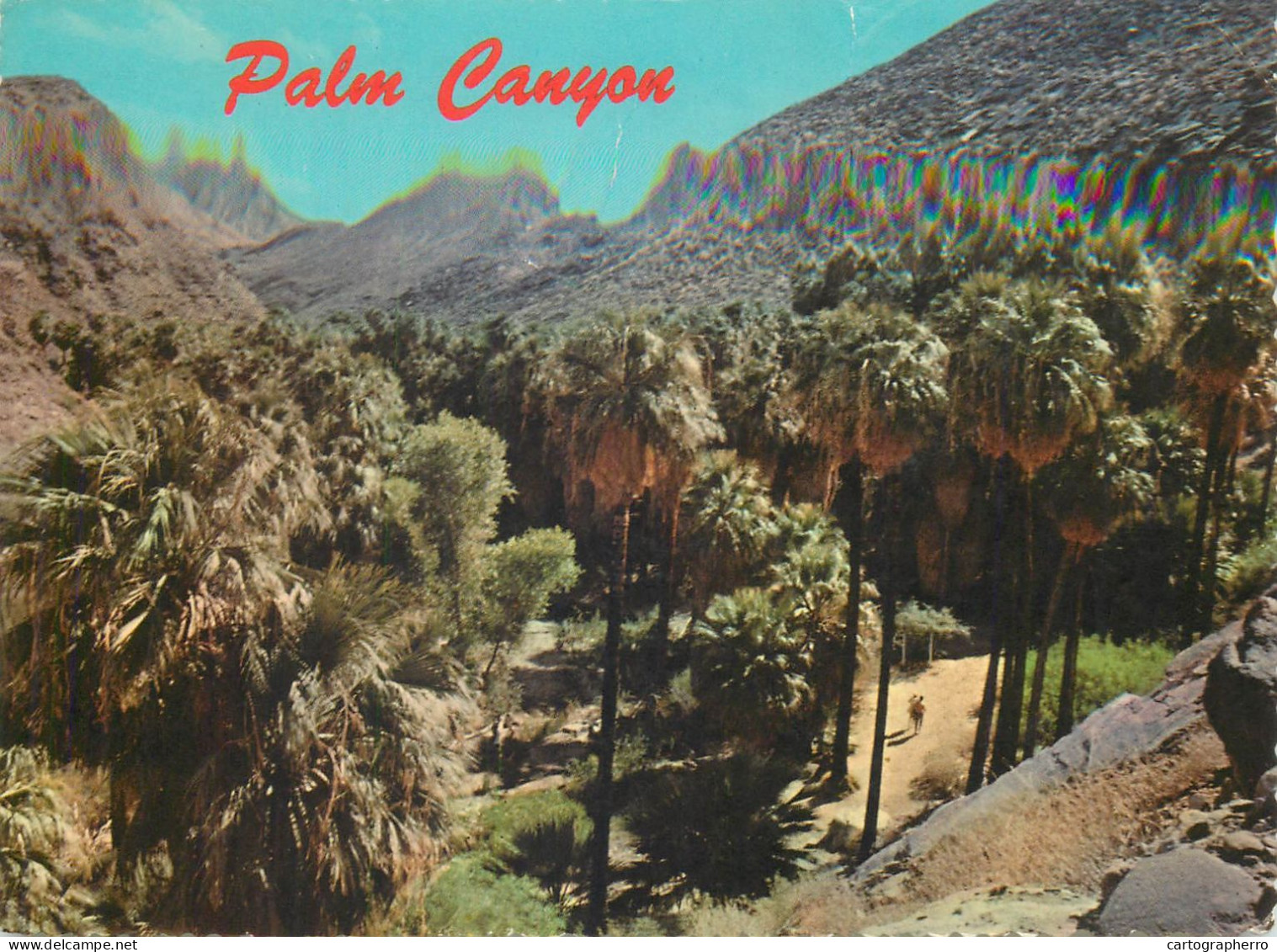 Postcard United States > CA - California > Palm Springs Palm Canyon - Palm Springs