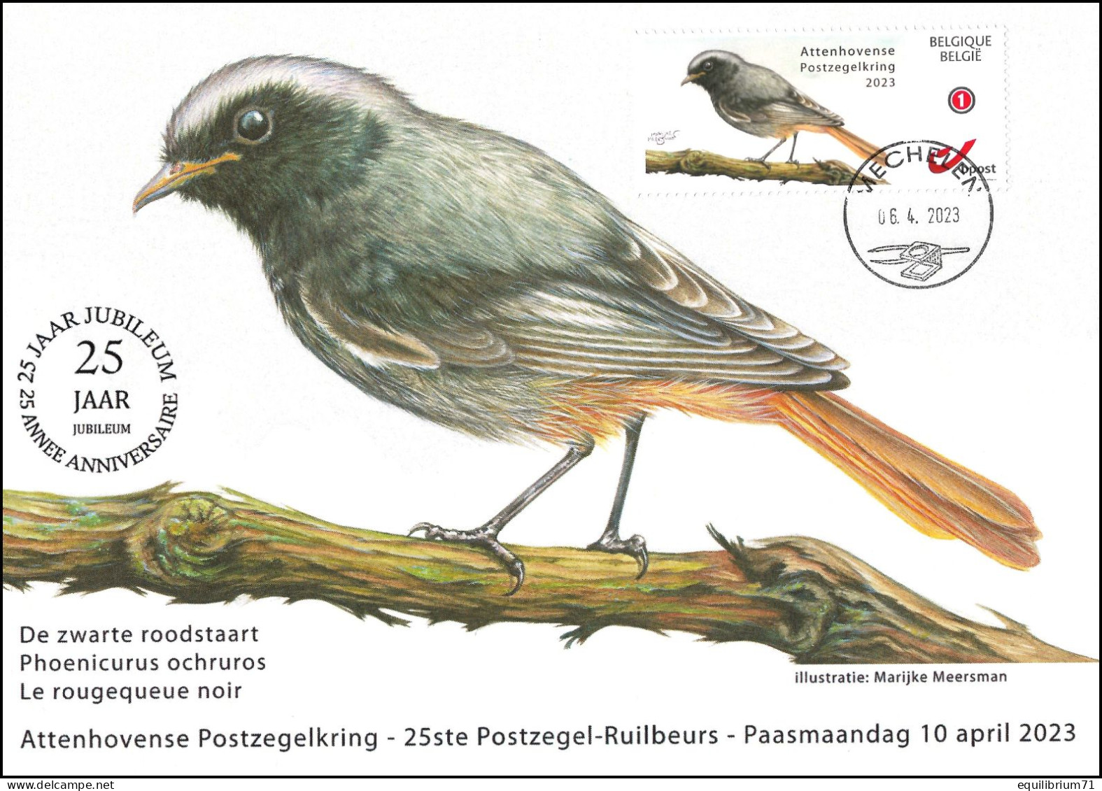 CS/HK - A5 - MYSTAMP° - Cercle D'Ottoncourt/Attenhovense Postzegelkring - Rougequeue Noir/Zwarte Roodstaart - Meersman - Briefe U. Dokumente