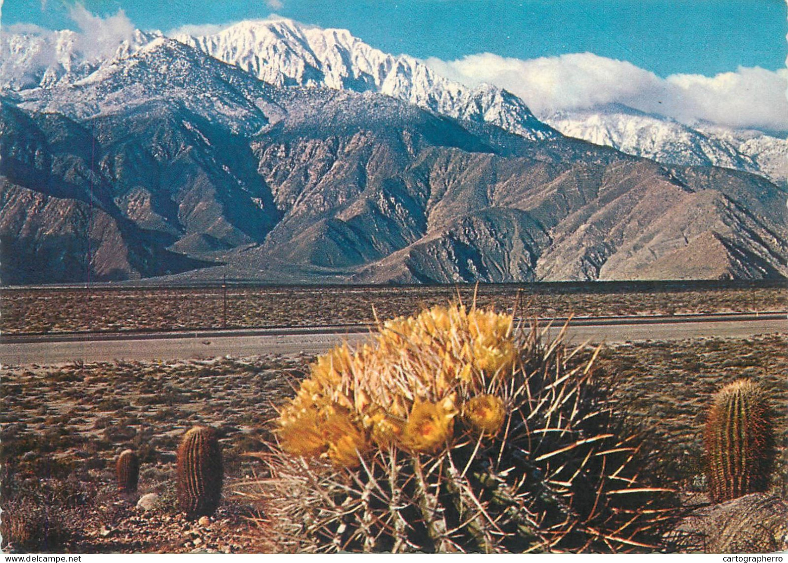 Postcard United States CA - California > Santa Ana Desert Contrast - Santa Ana