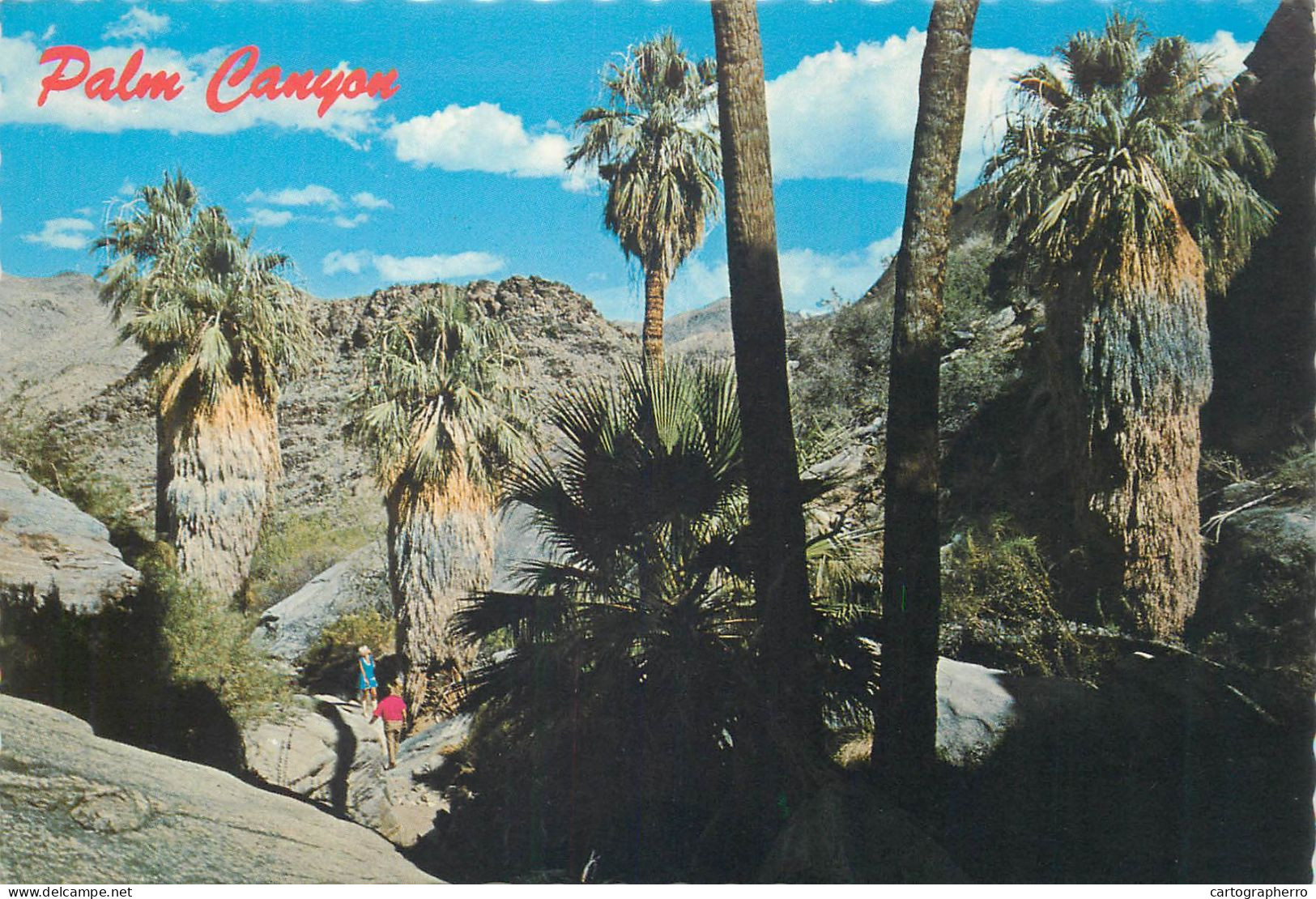 Postcard United States CA - California > Palm Springs Palm Canyon - Palm Springs