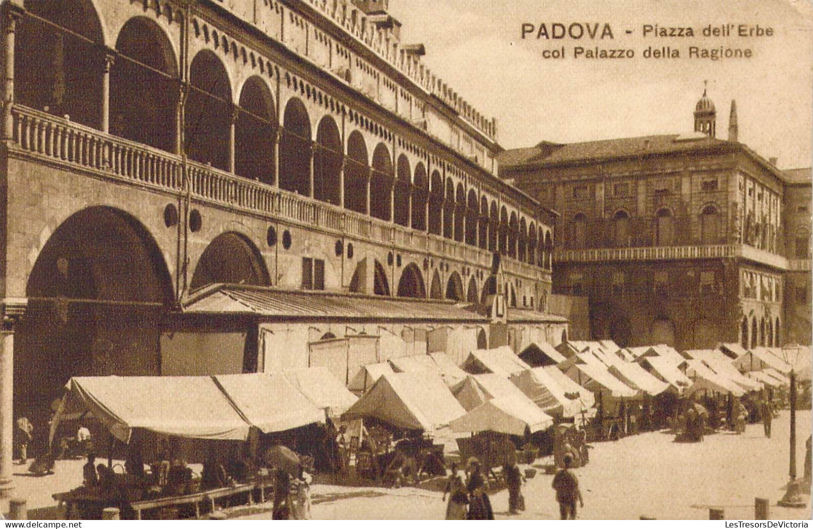 ITALIE - Padova - Piazza Dell' Erbe Col Palazzo Della Ragione - Carte Postale Ancienne - Padova