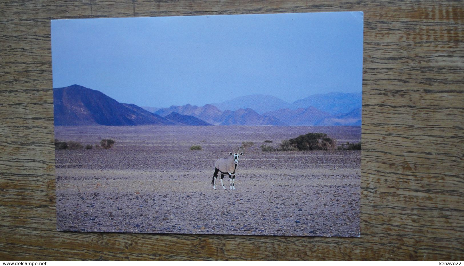 Namibia , Oryx ( Gemsbok ) Near Sesriem "" Beaux Timbres "" - Namibia