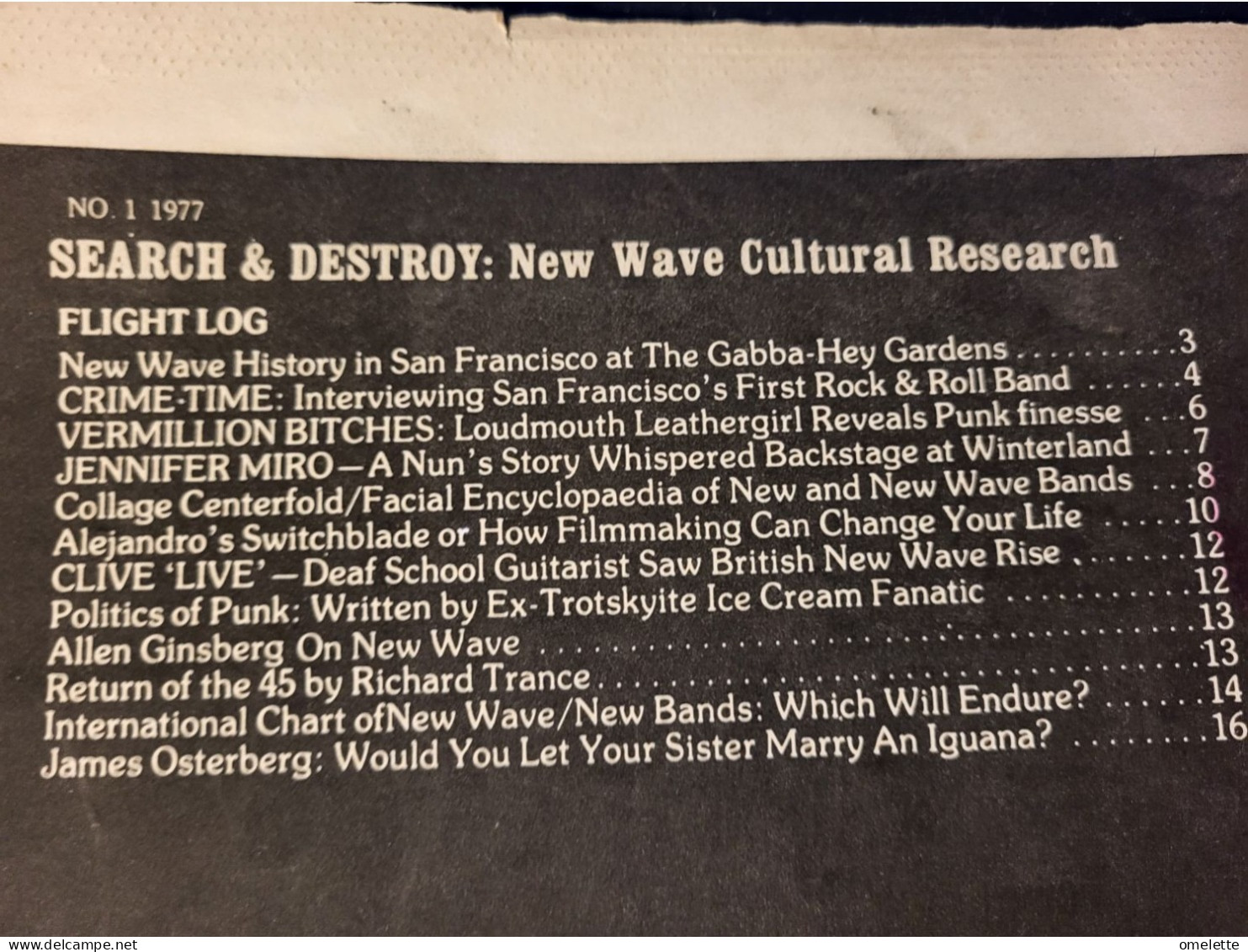 SEARCH AND DESTROY//IGGY POP/GINSBERGJOHNNY ROTTEN /NEW WAVE HISTORY SAN FRANCISCO - Altri & Non Classificati
