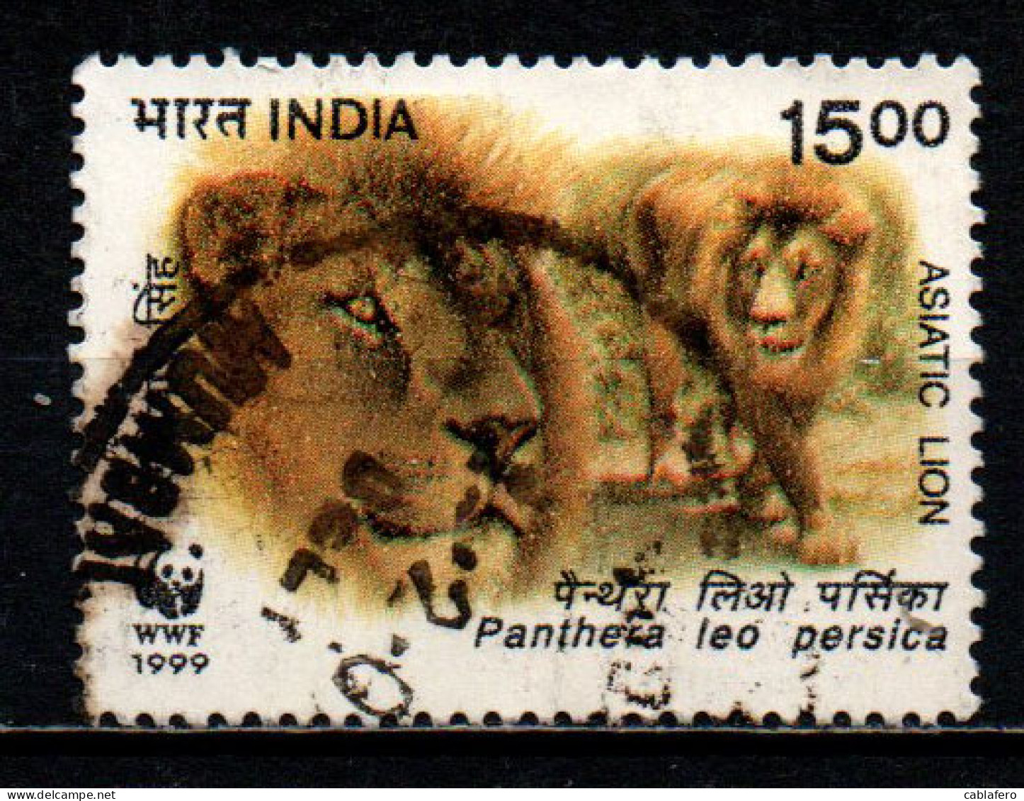 INDIA - 1999 - WWF: LEONI - USATO - Oblitérés