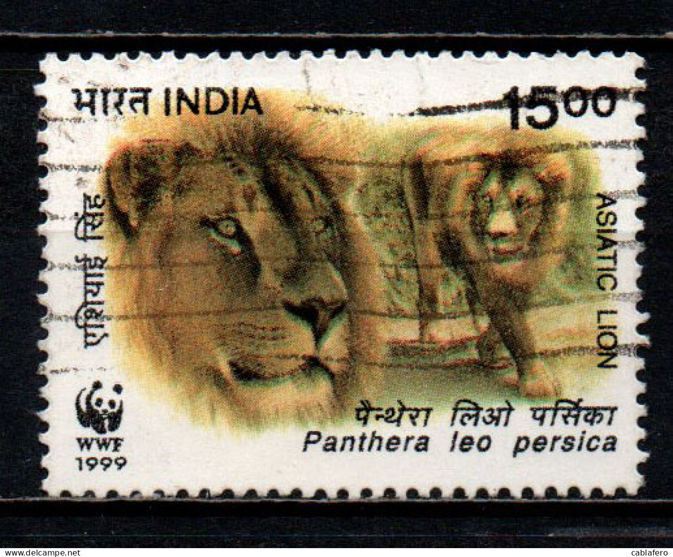 INDIA - 1999 - WWF: LEONI - USATO - Oblitérés