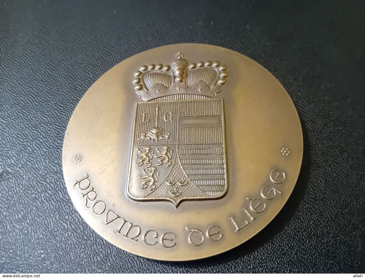 Une Médaille De La Province De Liège - Professionnels / De Société