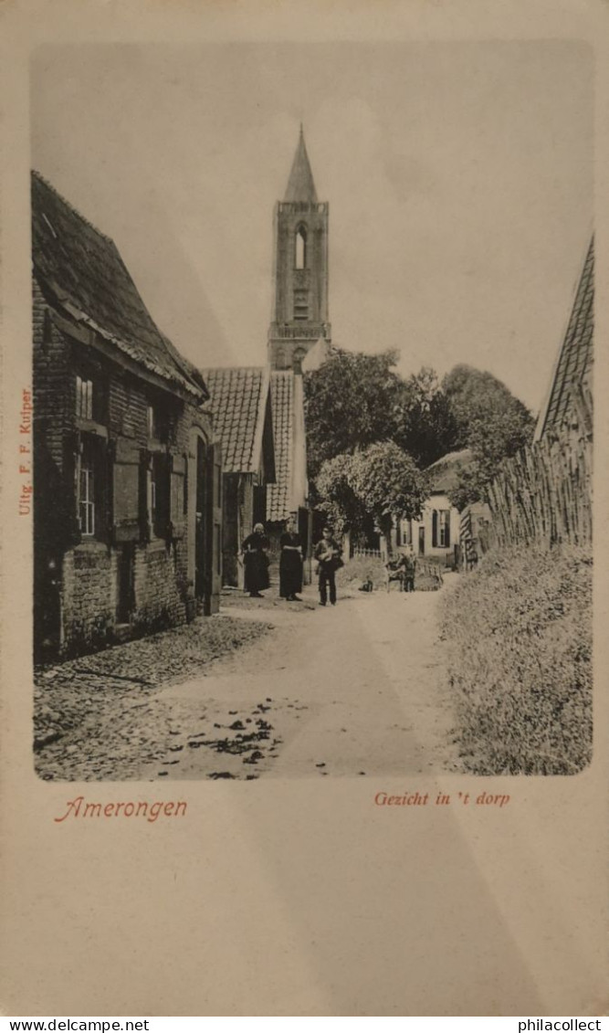 Amerongen (Utr.) Gezicht In 't Dorp Ca 1900 - Amerongen