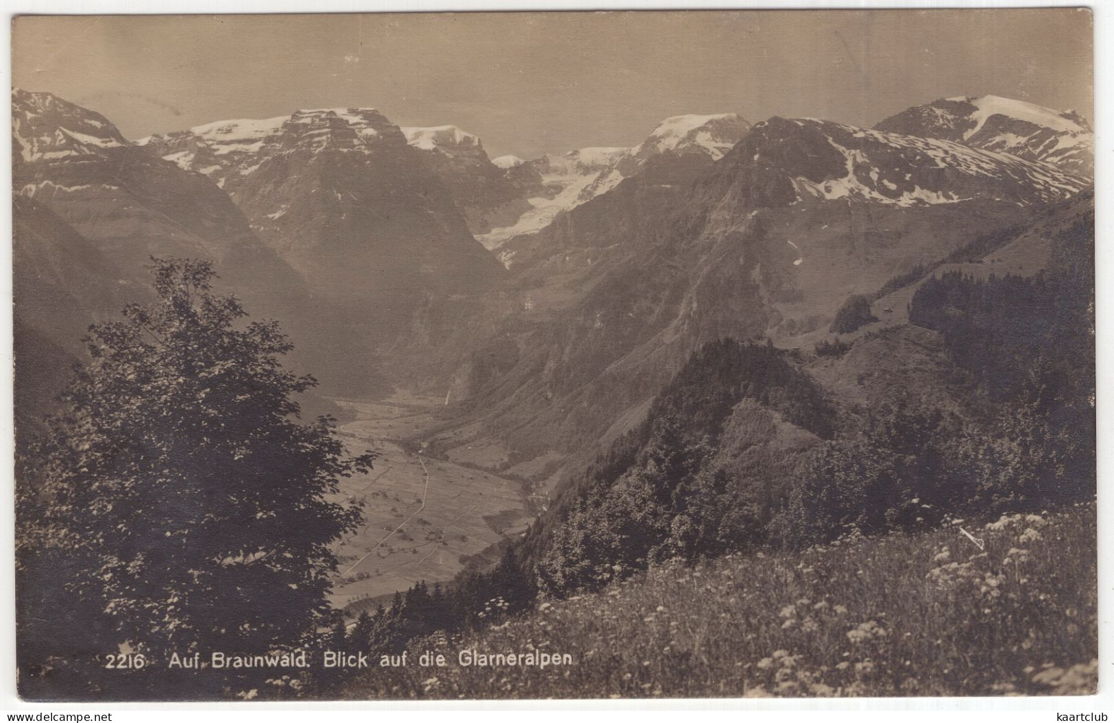 2216 Auf Braunwald. Blick Auf Die Glarneralpen - (Schweiz/Suisse) - Frei & Co., St.-Gallen - Braunwald