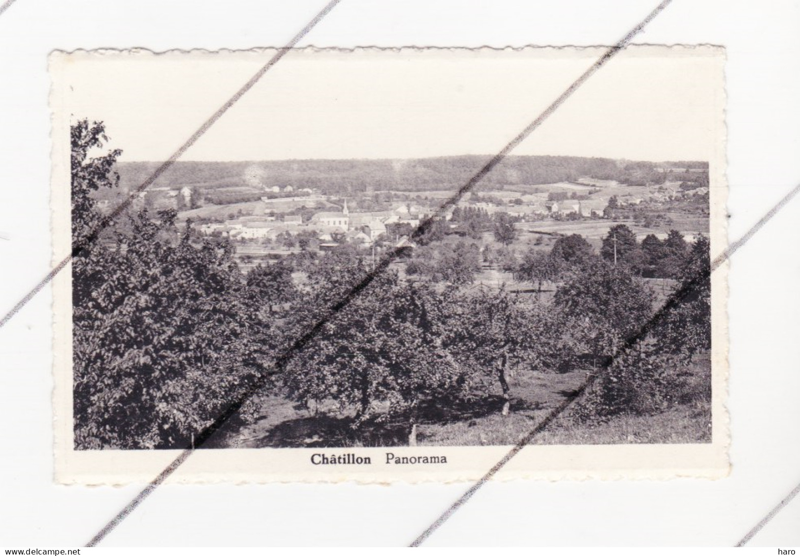 Châtillon ( Saint Léger ) - Panorama (B328) - Saint-Leger