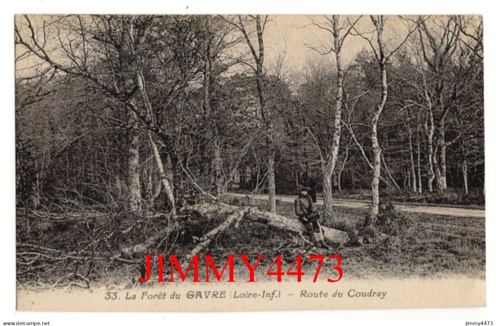 CPA - La Forêt Du GAVRE ( Loire-Inf.) - Route Du Coudray - Edit. J. Nozais N°33 - Le Gavre