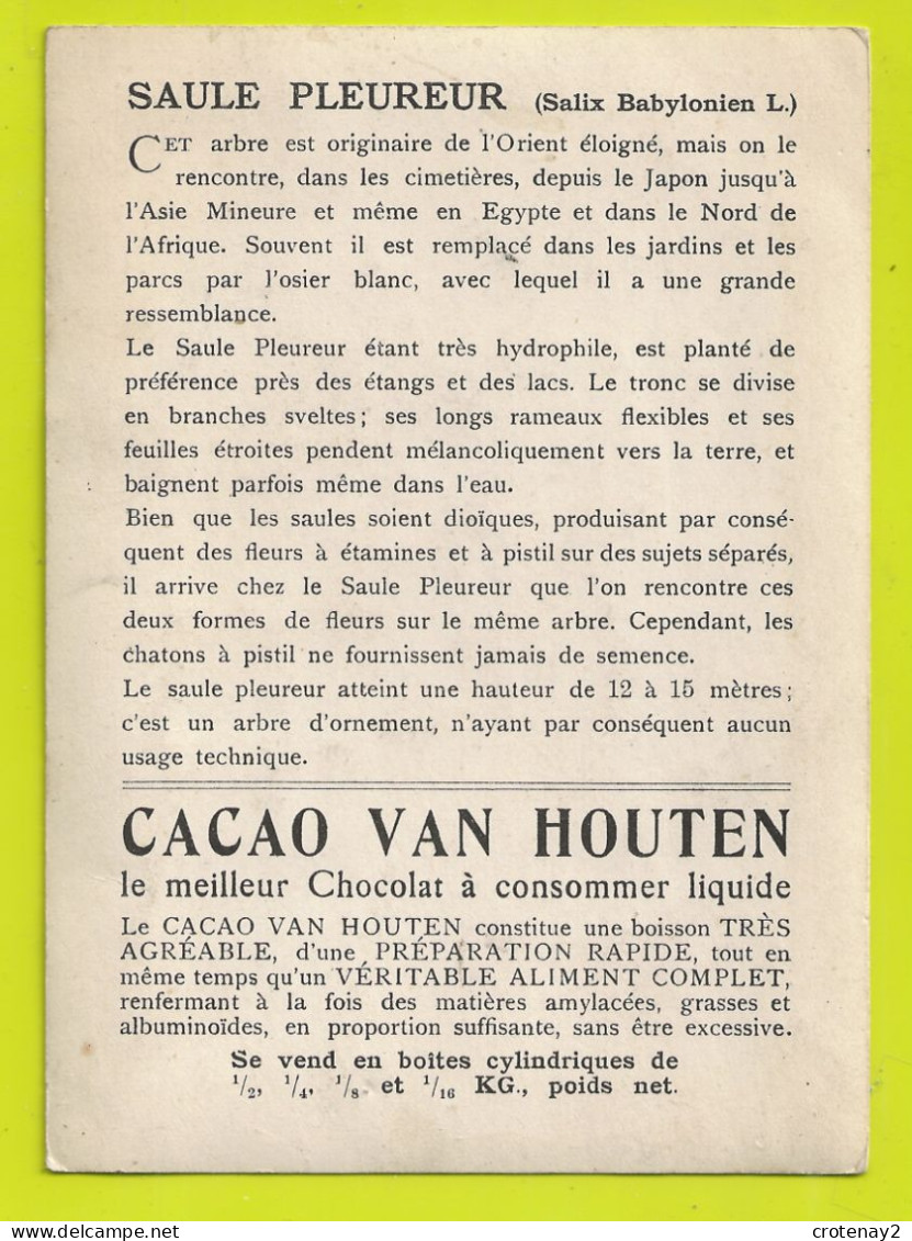 Chromo Chocolat Cacao VAN HOUTEN Les Arbres Le Saule Pleureur Salix Babylonica L VOIR DOS Explications - Van Houten