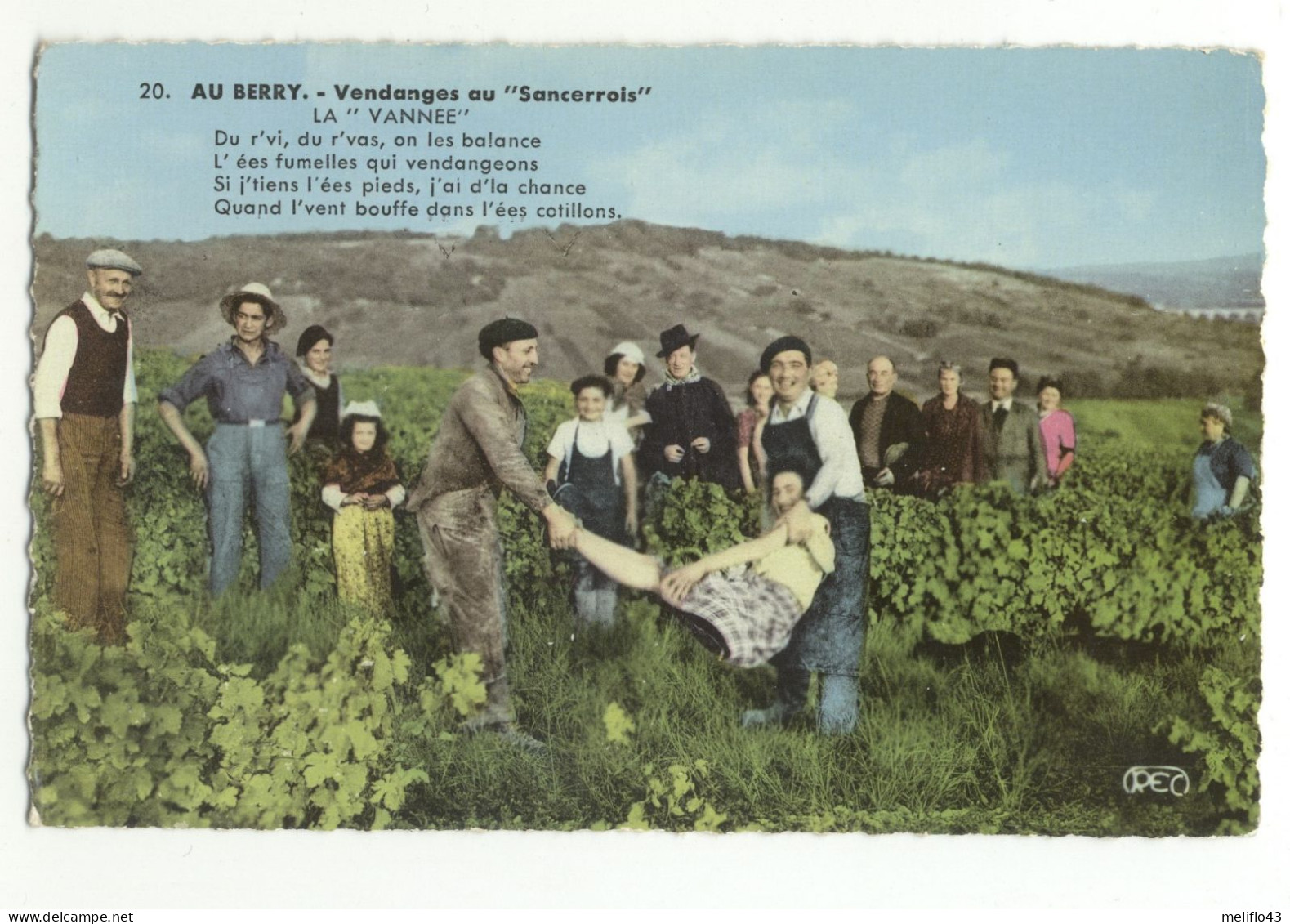 18/ CPSM -  Fontenay Saint Satur - Vendanges Au Clos La Perriere - Viticulteurs (Archambault) - Saint-Satur