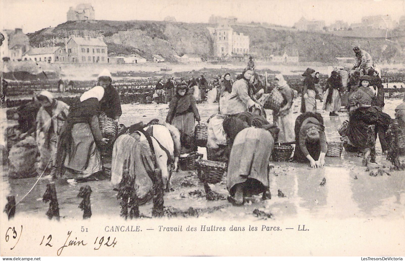 FRANCE - 35 - CANCALE - Travail Des Huîtres Dans Les Parcs - LL - Carte Postale Ancienne - Cancale