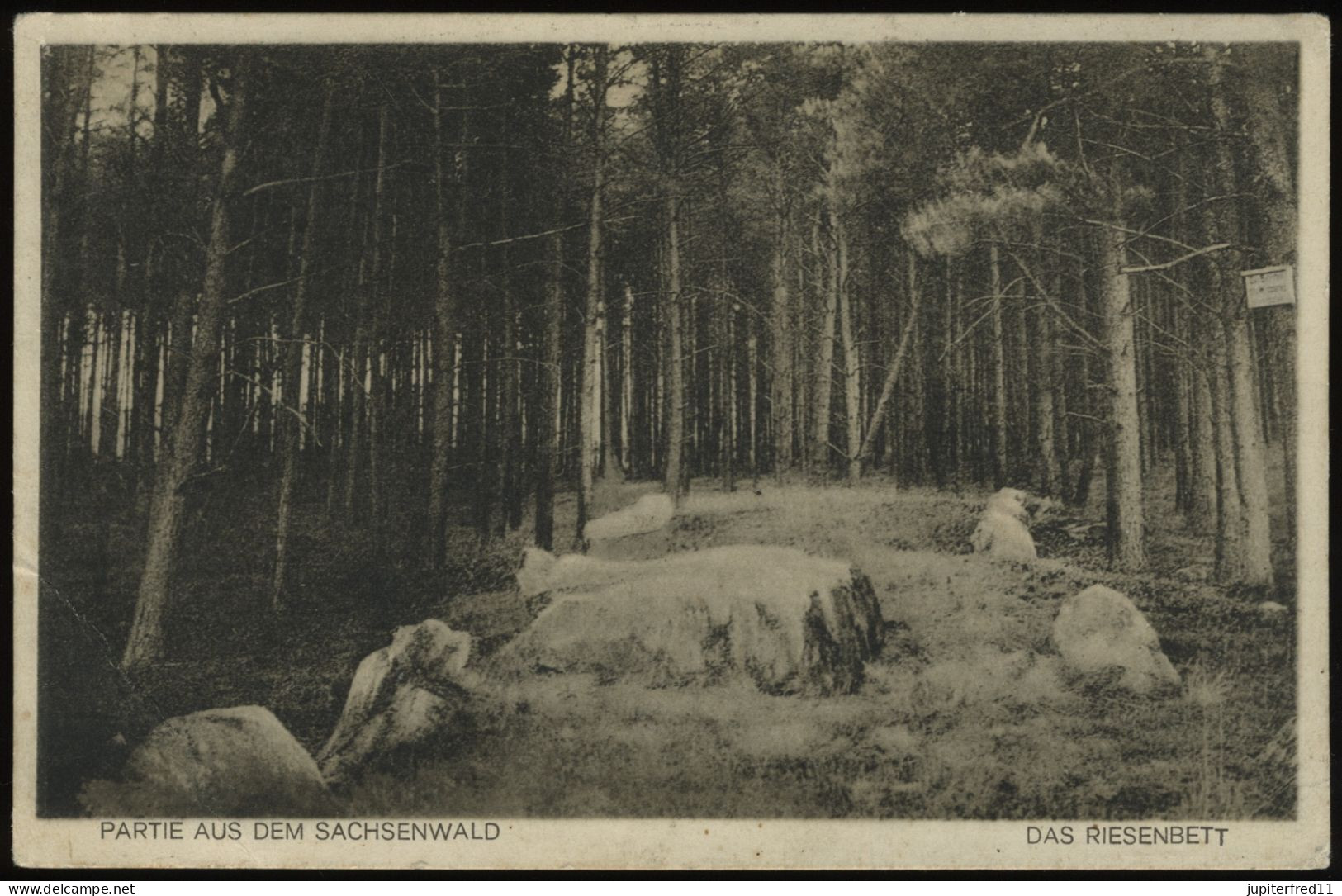 (B3388) AK Sachsenwald - Das Riesenbett, SCHWARZENBEK 1935 - Schwarzenbeck