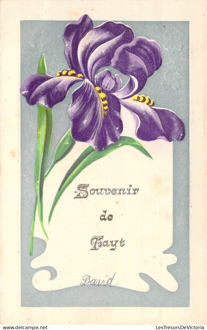 BELGIQUE - Fayt - Souvenir De Fayt - Carte Postale Ancienne - Other & Unclassified