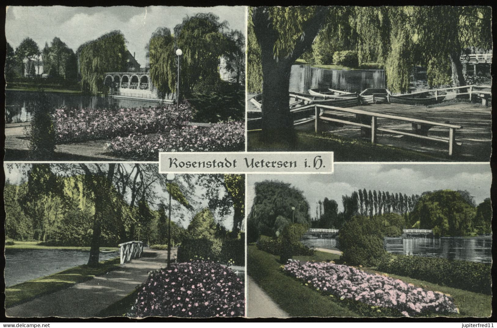 (B3549) AK Uetersen (Kreis Pinneberg), Rosarium 1955 - Uetersen