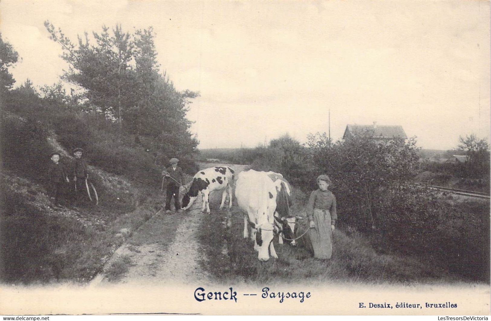 BELGIQUE - Genck - Paysage - Carte Postale Ancienne - Genk