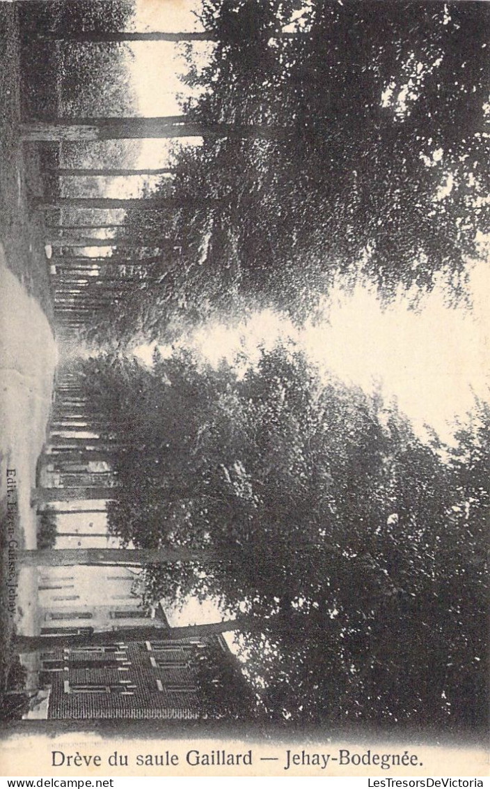 BELGIQUE - Jehay-Bodegnée - Drève Du Saule Gaillard - Carte Postale Ancienne - Amay