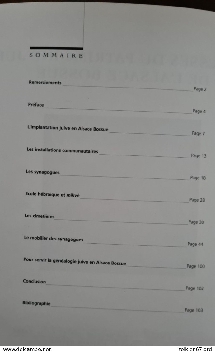 ALSACE BOSSUE Richesses Du Patrimoine Juif Judaica Judaïsme Alsace-lorraine Synagogue Diemeringen Struth Sarre-Union - Alsace