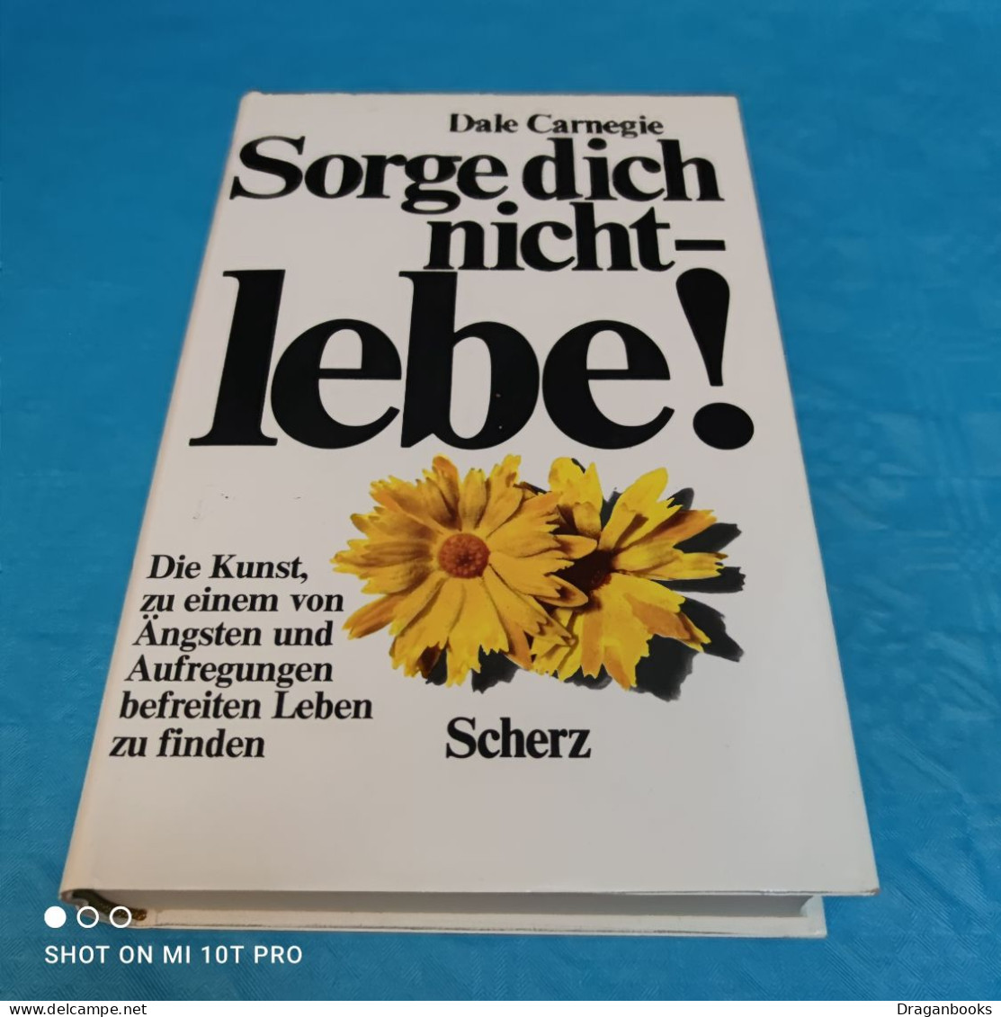 Dale Carnegie - Sorge Dich Nicht - Lebe - Psicologia