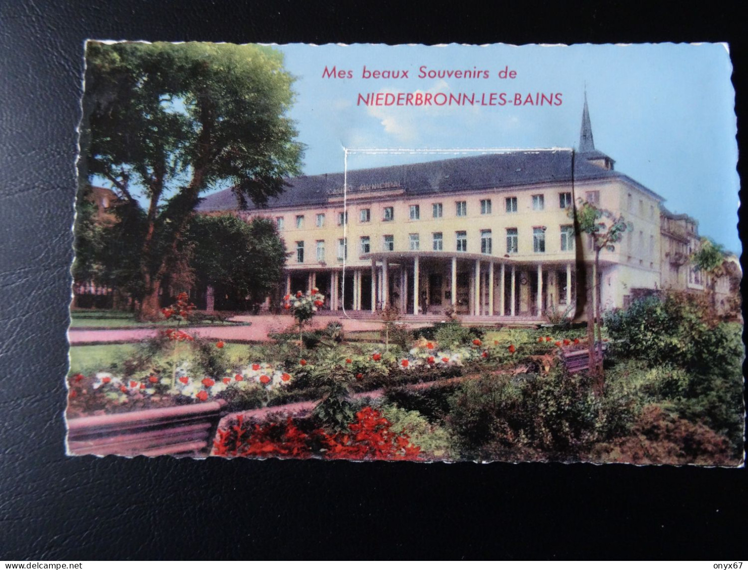 Carte Postale Fantaisie Système NIEDERBRONN-Les-Bains-67-Bas-Rhin-Beaux Souvenir-Tirette 10 Vues - Niederbronn Les Bains