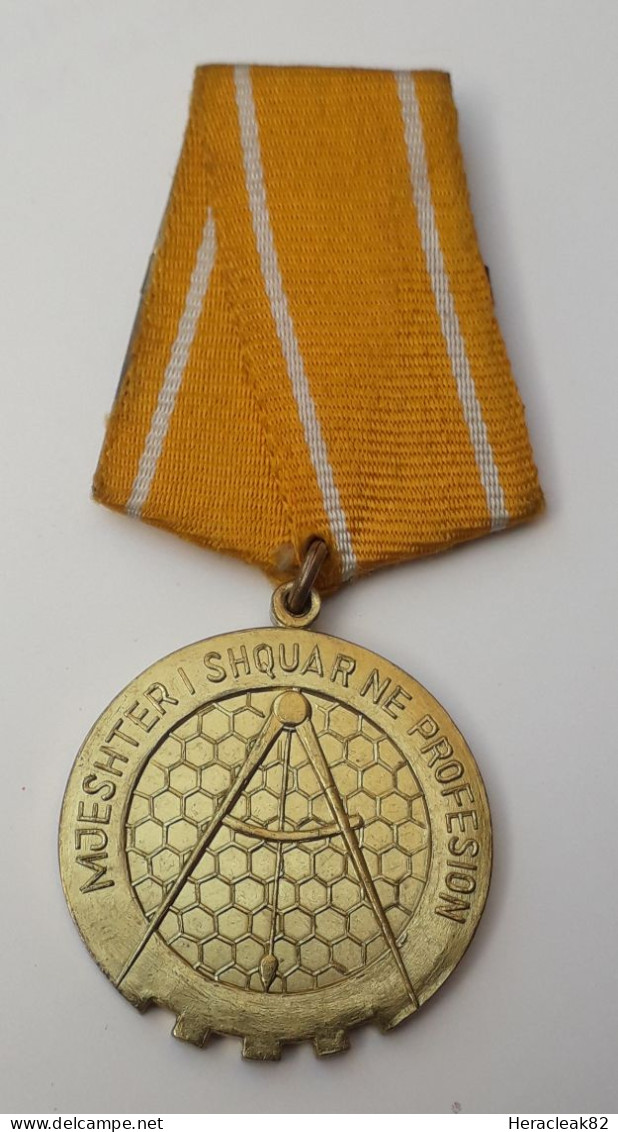 Albania Medal Outstanding Master In The Profession, RR, 100% Original - Autres & Non Classés