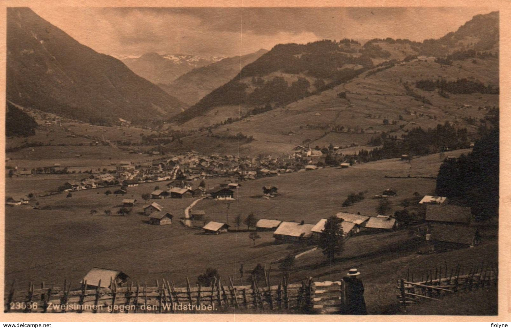 Zweisimmen - Gegen Den Wildstrubel - Panorama Du Village - Suisse Switzerland - Trub