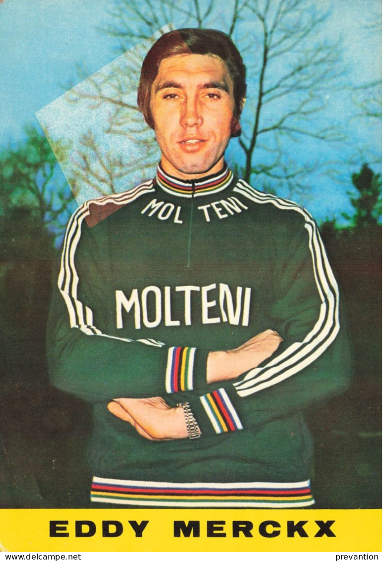 EDDY MERCKX (Quand Il Courrez Chez MOLTONI) - Carte Colorée - Sporters